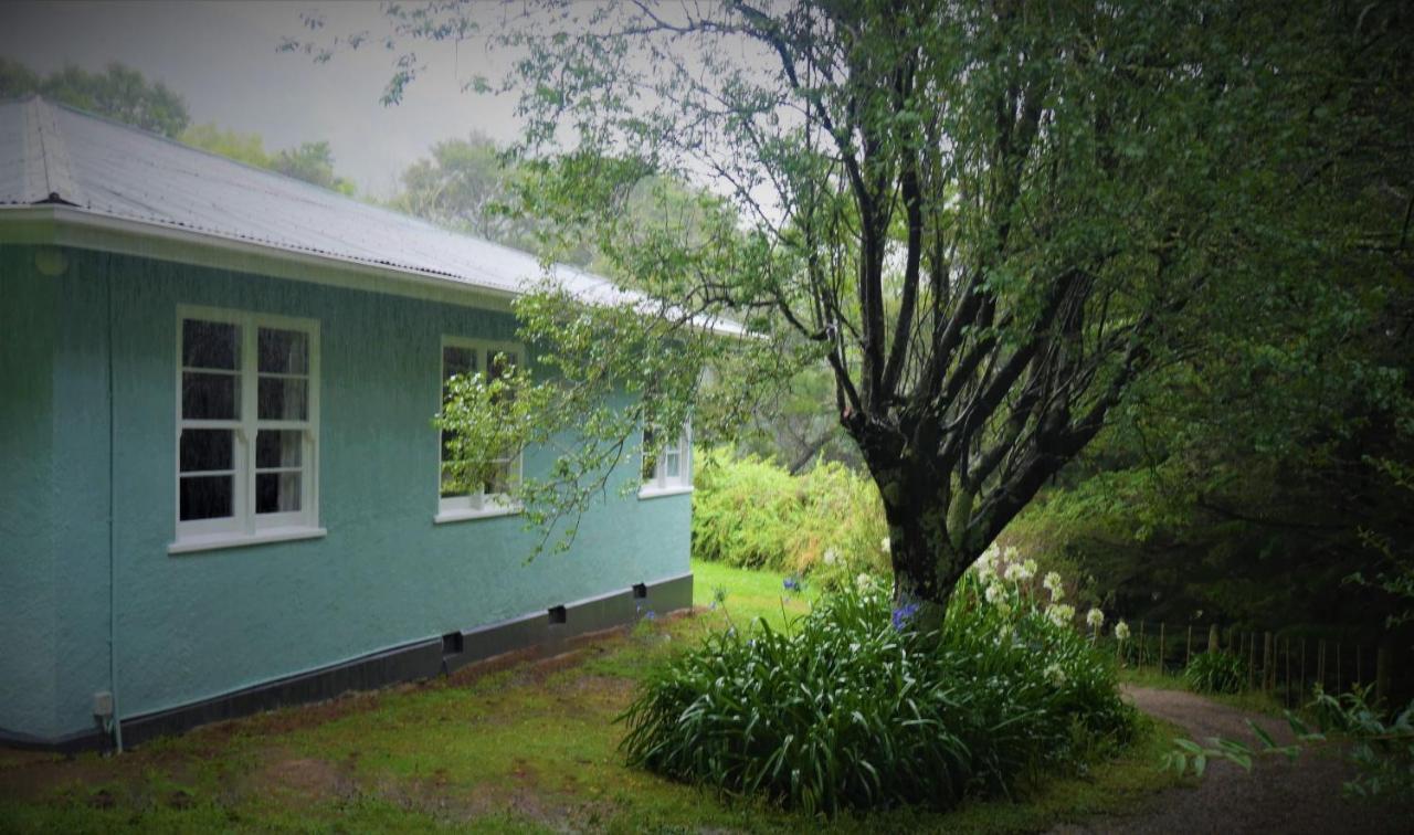 Tinui Food Forest Cottage Whareama Exterior foto